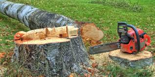 Best Emergency Tree Removal  in Rosemont, CA