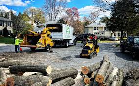 Best Pest Control for Lawns  in Rosemont, CA